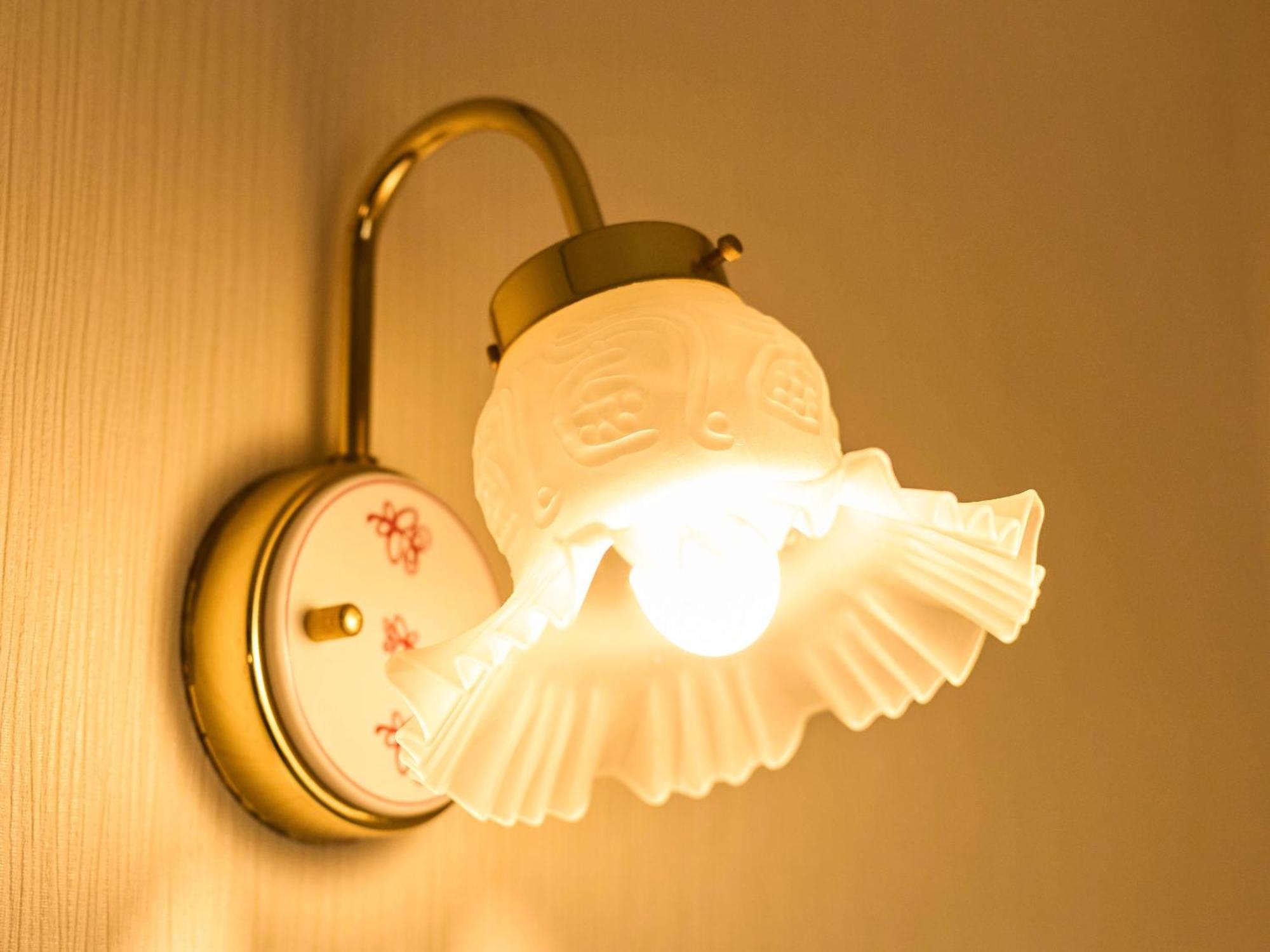 Minakuchi Century Hotel Koka Værelse billede